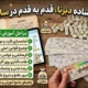 آموزش ساده دبرنا، قدم به قدم در سال 1405